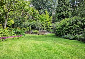 Optimiser l'expérience du jardin à Balignicourt